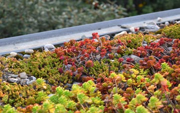 the cost of Brackenfield green roof installation