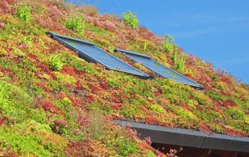 Brackenfield living roof systems