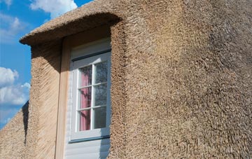 Brackenfield thatch roof disadvantages